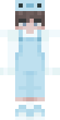 Skin de iitsaether