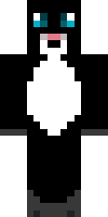 paytm's Minecraft skin