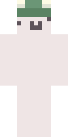 starzvr's Minecraft skin