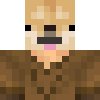 Skin de HrSedex