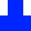 Prysolm's skin