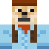 newsflock's skin