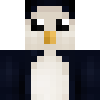 Skin de ruan