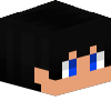Skin de beestry