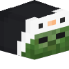 Skin de craazyw