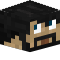 Player Head