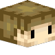 Player Head