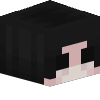 NonExe