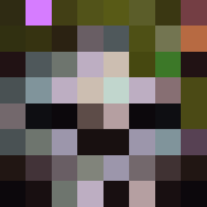 morphic_elay