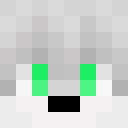 StarSnowLeopard