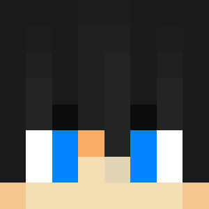 RoboCoderX