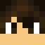Picklegamer1234 Picklegamer1234