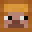 sausijsenbroodje's Minecraft avatar