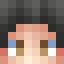 PheonixX__