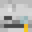 0x06