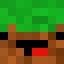 TheCoolDuckMC