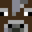 vzjames