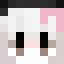 WashierPlayz