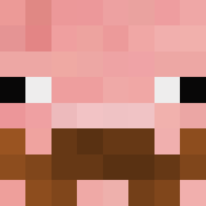 Squisy Chikun