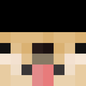 Scuits