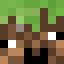 thegrassboi