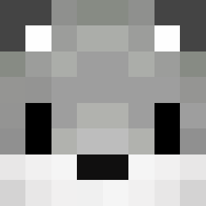 vinor_1