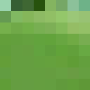 BUFFALO_BUFFALO1