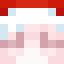 Z_Profi