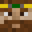 Coatii
