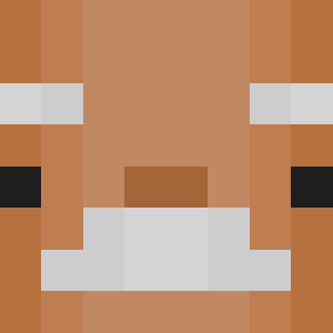 _Sloyer_