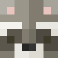 RacoonDev