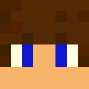 VoiD11