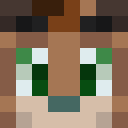 VisedTurtle
