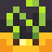 Seed