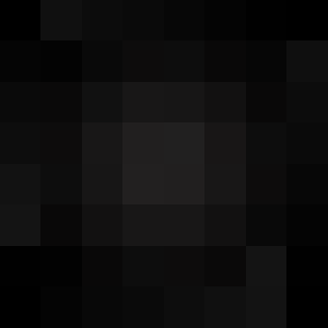 dynamoote