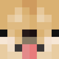 DogeSMP