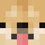 DogeSMP