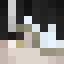 Zingertoe's Minecraft avatar
