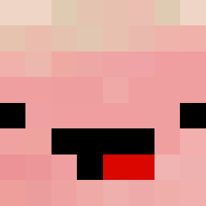 Programmer043