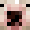 Player Skin Head