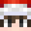 PenguDM