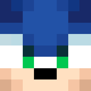 CSonicBruhPoyo