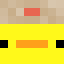 lopr