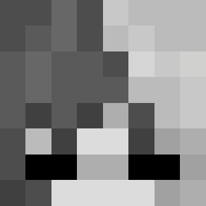 ShadowGamerYT__
