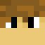 TTVNovadog