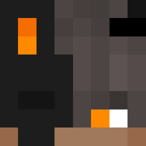 bricks4brains