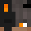 bricks4brains