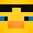 Player Skin Head