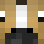 nr1raper