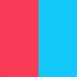 Raid